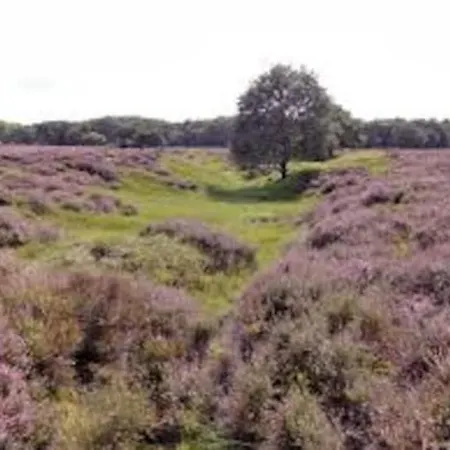 Spiegelwaal Lent Nijmegen
