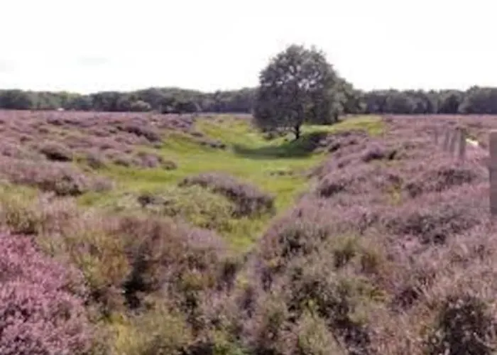 Spiegelwaal Lent Nijmegen