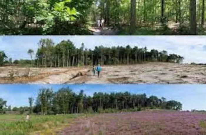 Apartment Spiegelwaal Lent Nimwegen