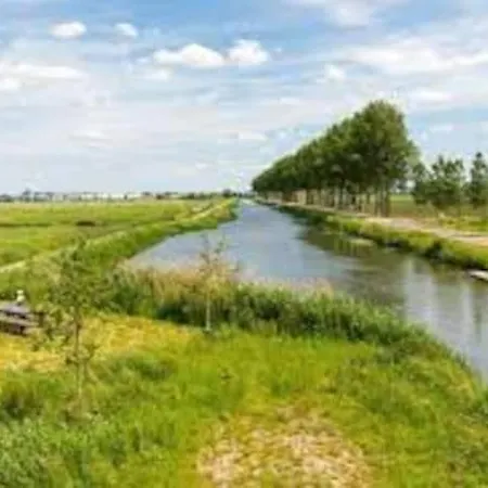 Spiegelwaal Lent